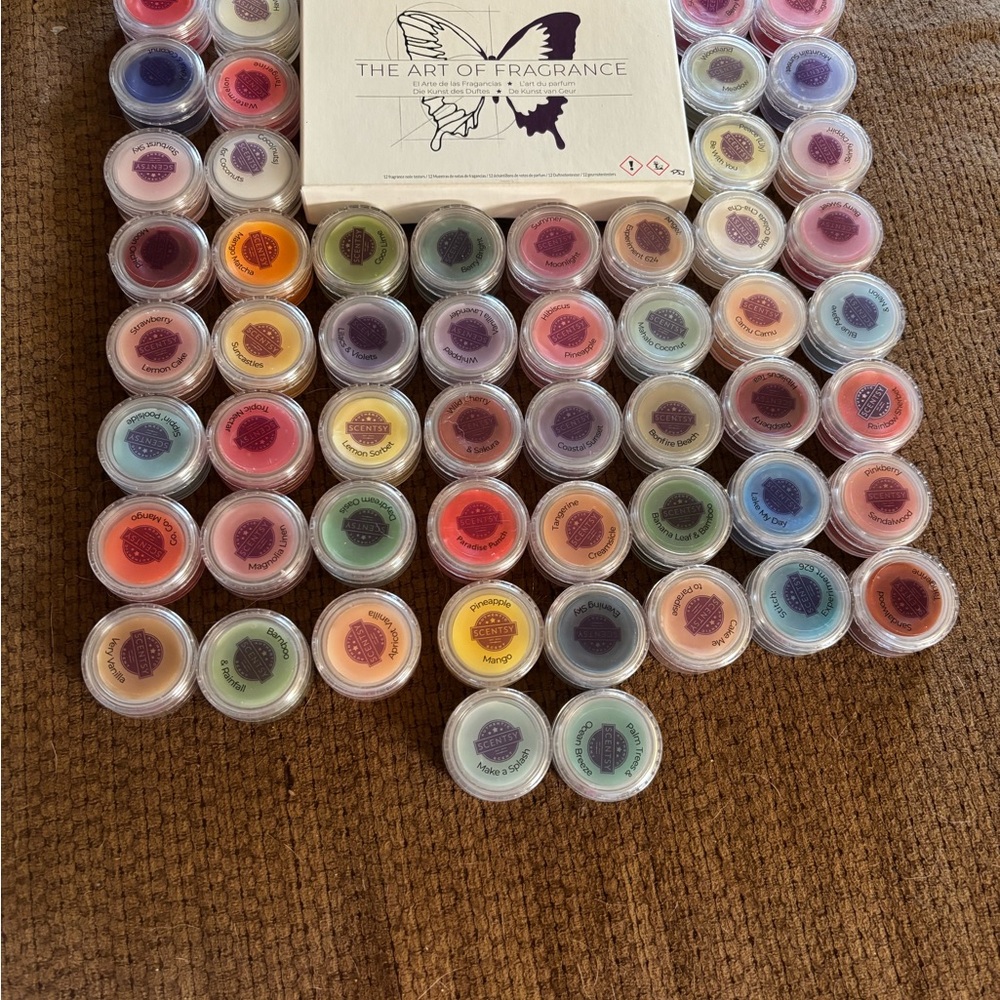 Scentsy Fragrance Wax Collection - Multicolor